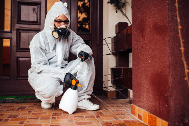 Reliable Cockroach Control contractor in Weaverville, NC by Nex Pest Control