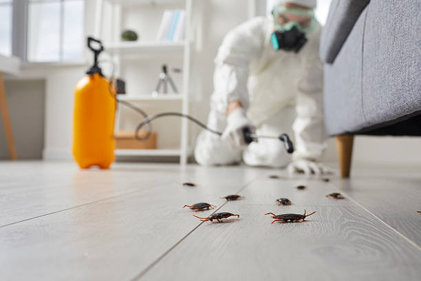 Trusted Emergency Pest Control service in Weaverville, NC - Nex Pest Control
