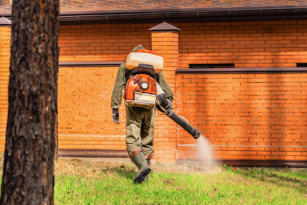 Trusted Emergency Pest Control service in Weaverville, NC - Nex Pest Control
